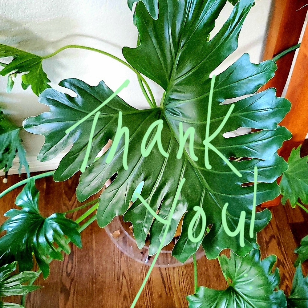 Thank you for following me!